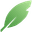 BayLeaf logo