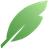 BayLeaf logo
